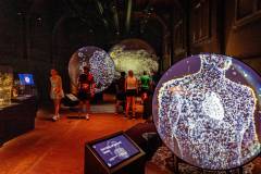 bhUrban_Trail_Leiden_2026_124-1
